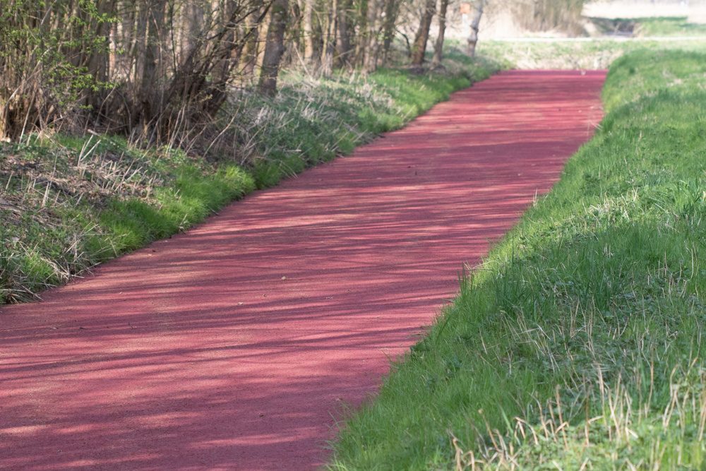 Sloot dichtgegroeid met grote kroosvaren
